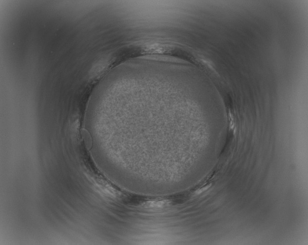 X0000054360314200508121521