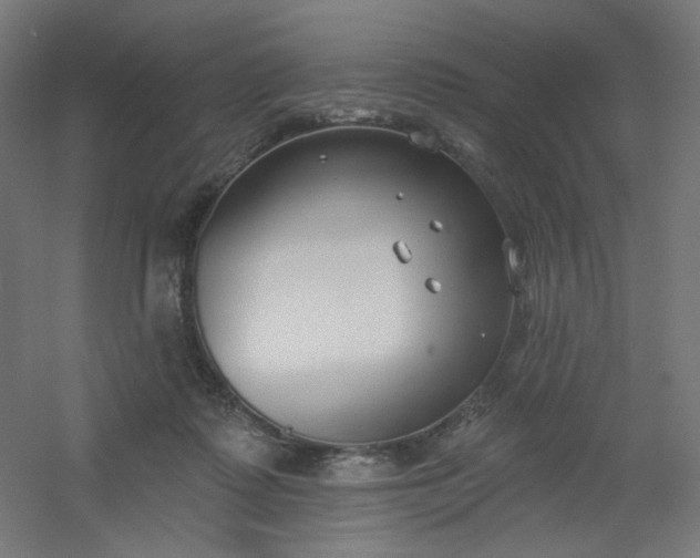 X0000054360315200508121521