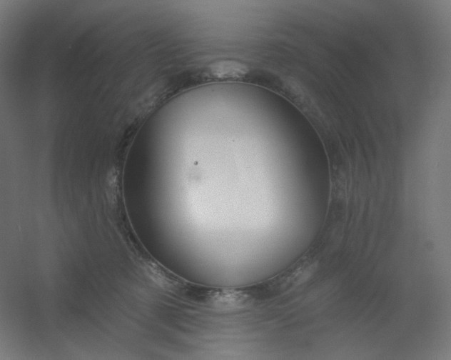 X0000054360321200508121521