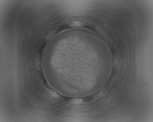 X0000054360322200508121521