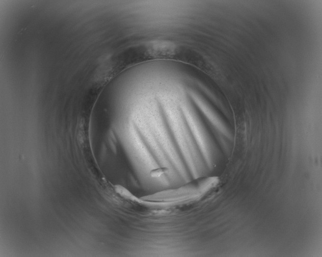 X0000054360323200508121521