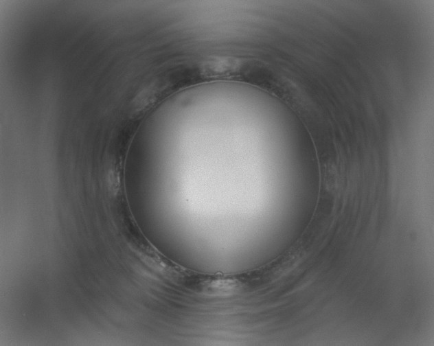 X0000054360324200508121521