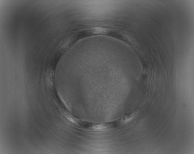 X0000054360325200508121521