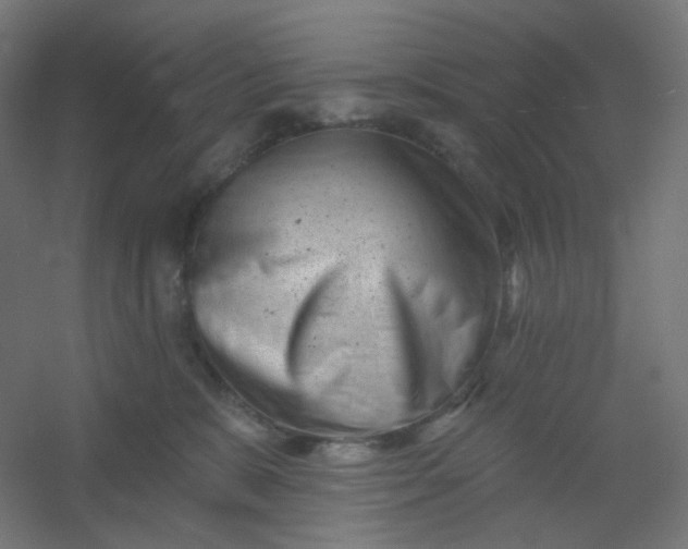 X0000054360327200508121521