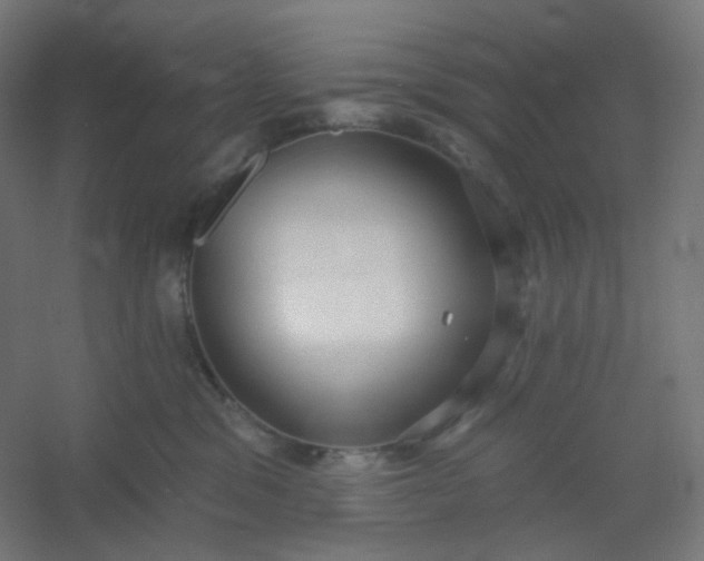 X0000054360329200508121520