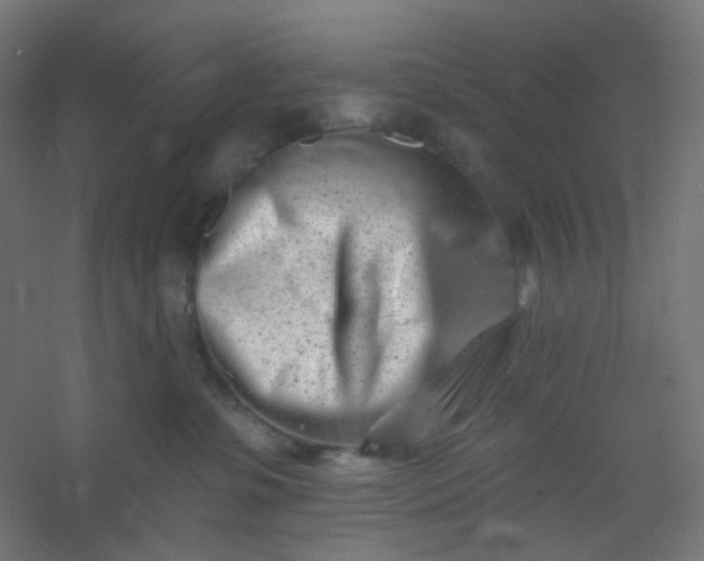 X0000054360331200508121520