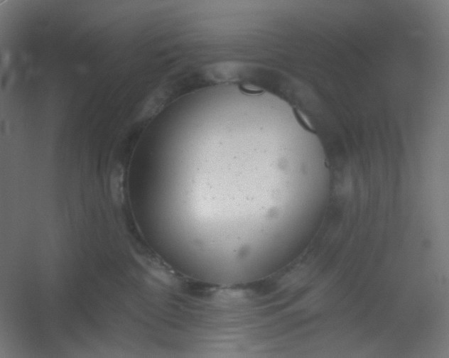 X0000054360332200508121520