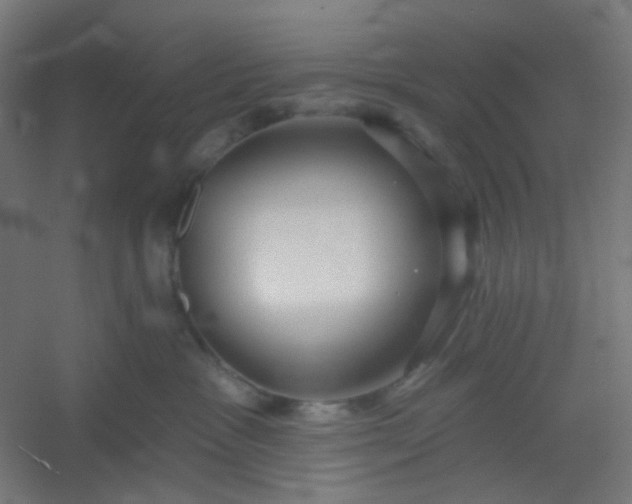 X0000054360333200508121520