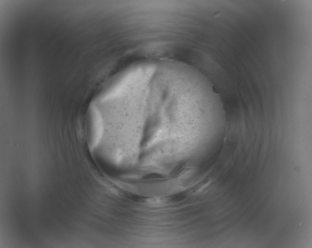 X0000054360335200508121520