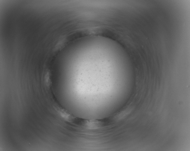 X0000054360336200508121520