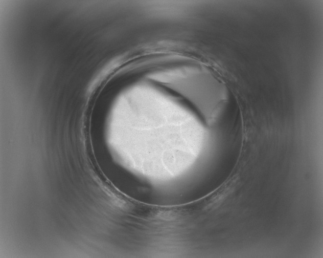 X0000054360341200508121520