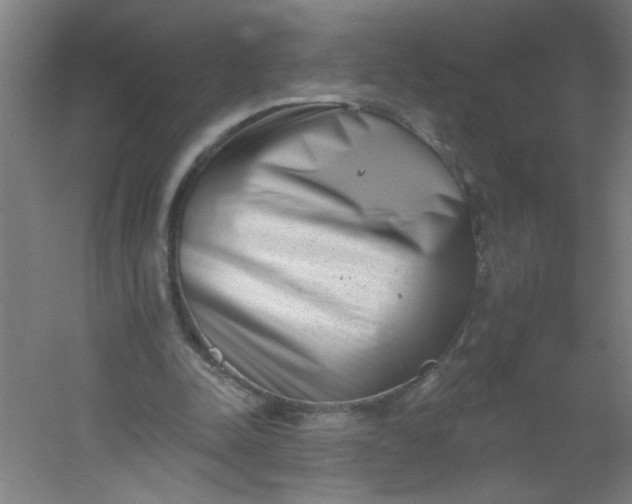 X0000054360342200508121520
