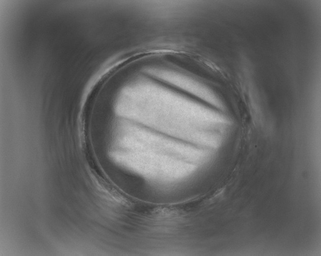 X0000054360343200508121520