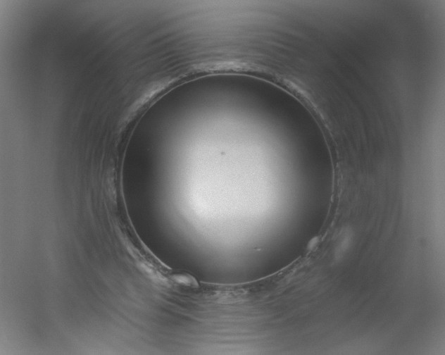 X0000054360345200508121520