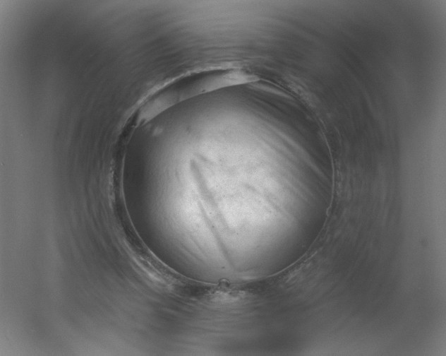 X0000054360346200508121520