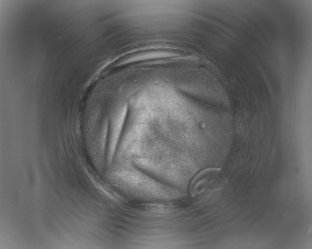 X0000054360347200508121520