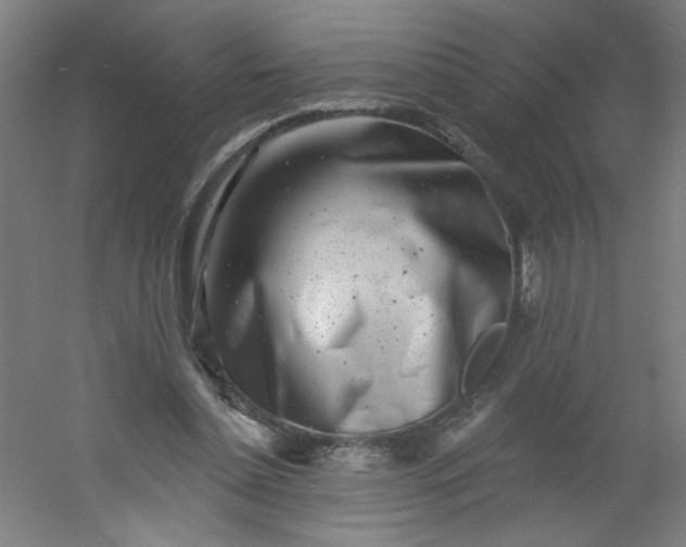 X0000054360348200508121520