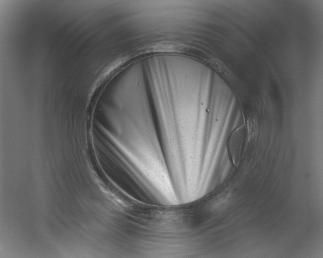 X0000054360349200508121520