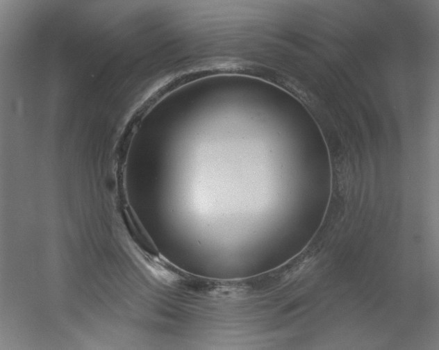 X0000054360350200508121520