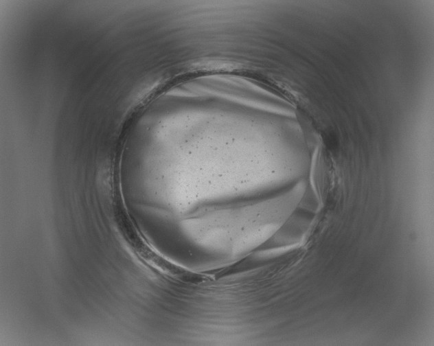 X0000054360352200508121520
