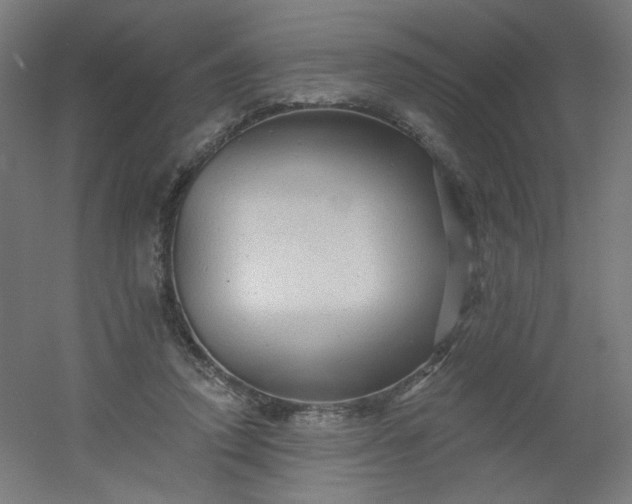X0000054360354200508121520