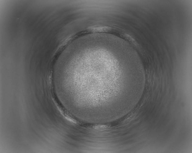 X0000054360357200508121520
