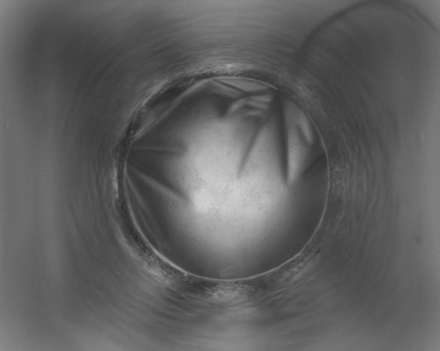 X0000054360358200508121520