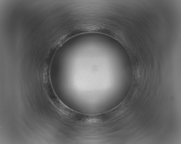 X0000054360360200508121520