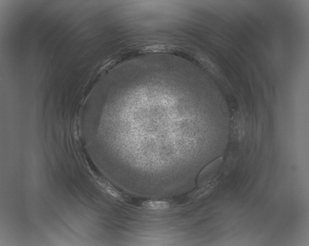 X0000054360361200508121520