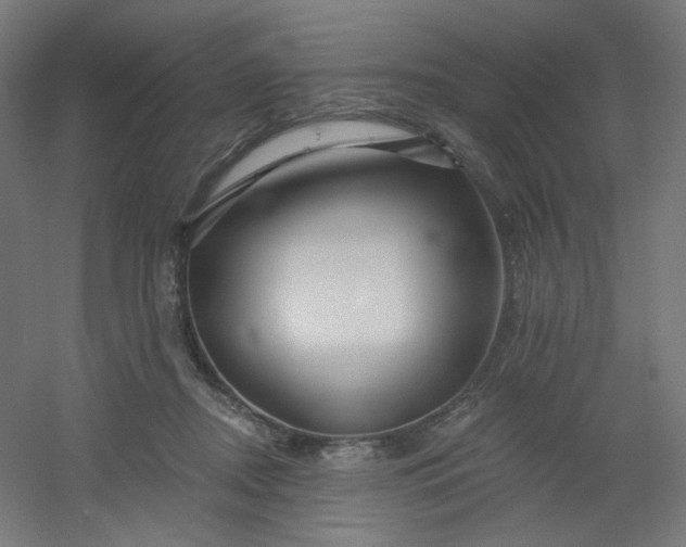 X0000054360362200508121520