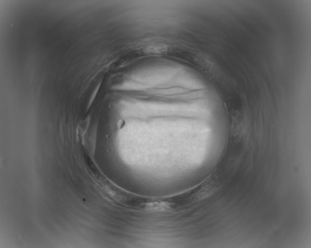 X0000054360363200508121520