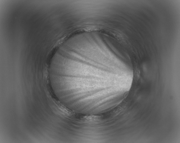 X0000054360367200508121520