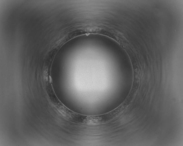 X0000054360368200508121520