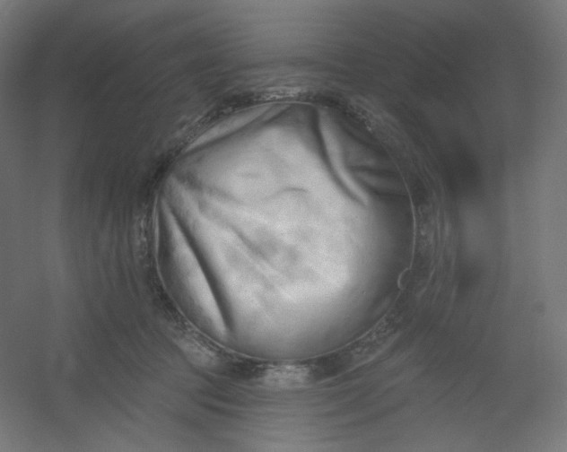 X0000054360369200508121520