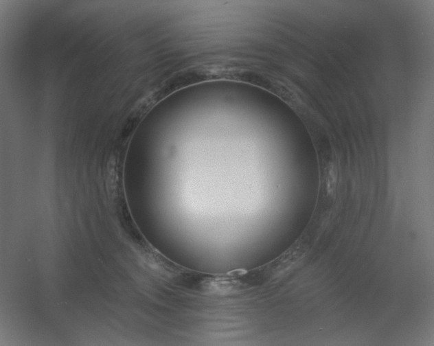 X0000054360372200508121520