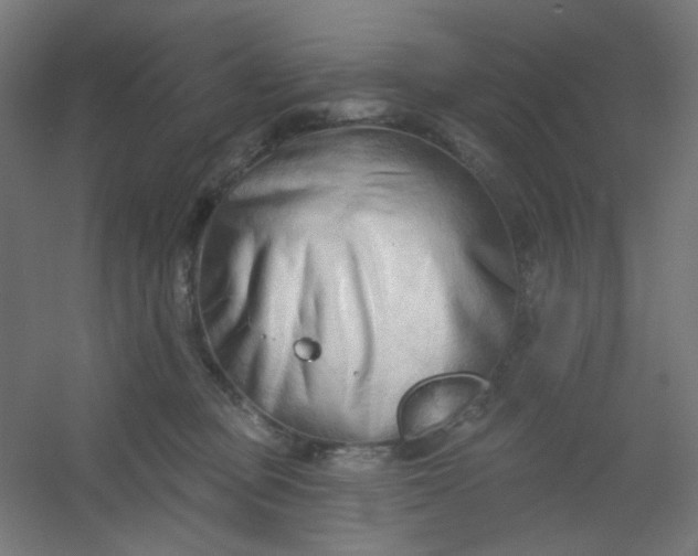 X0000054360373200508121520