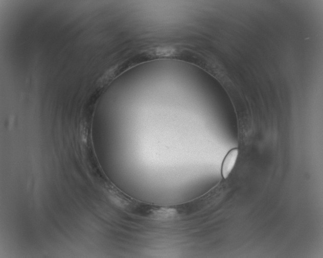 X0000054360374200508121520