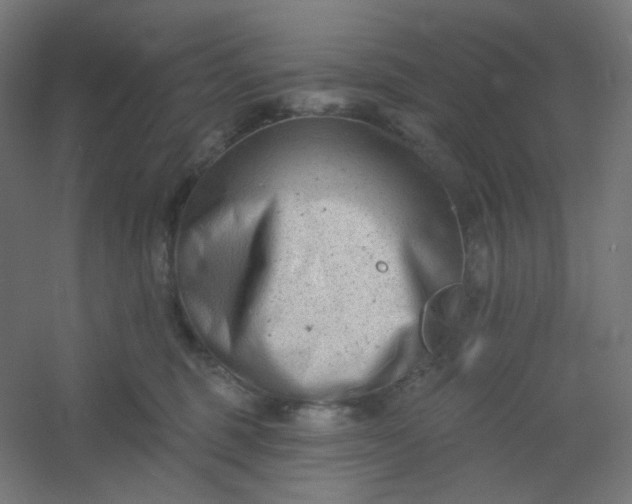 X0000054360375200508121520