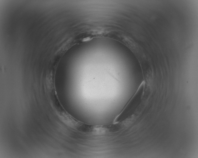 X0000054360376200508121520