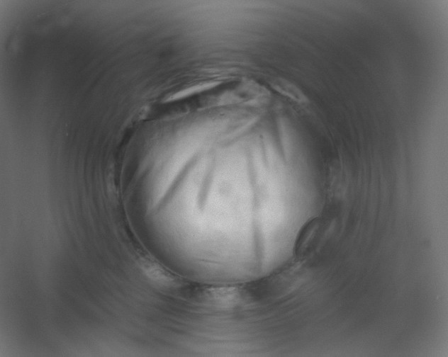 X0000054360377200508121520