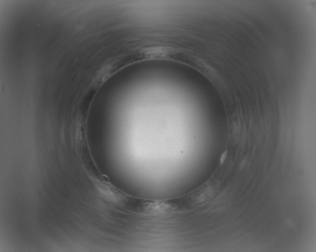 X0000054360379200508121520
