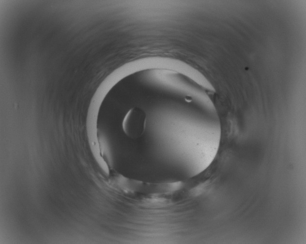 X0000054360380200508121520