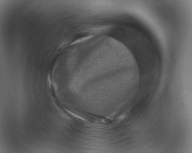 X0000054360383200508121520