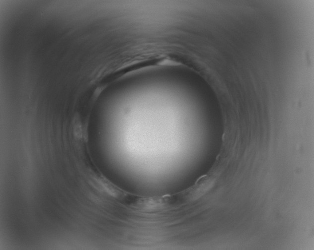 X0000054360384200508121520