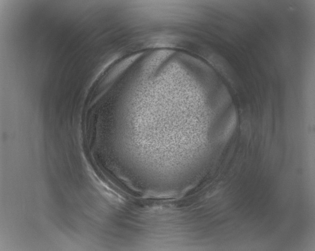 X0000054360386200508121520