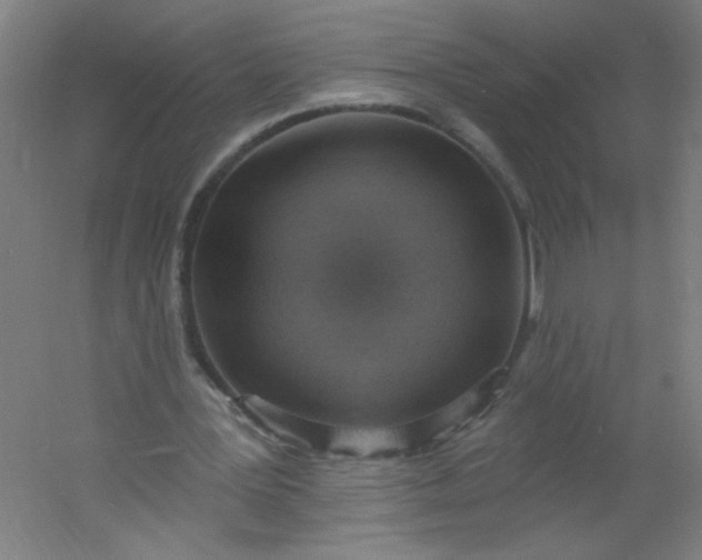 X0000054360387200508121519