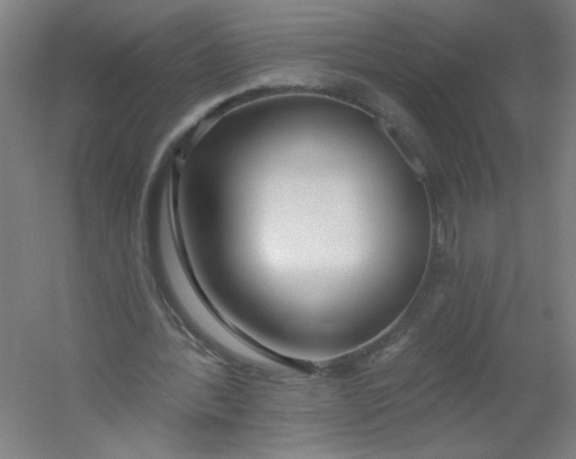 X0000054360388200508121519