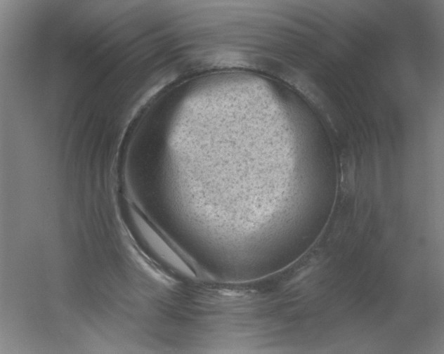 X0000054360390200508121519