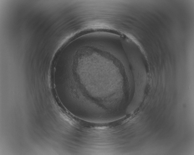 X0000054360391200508121519