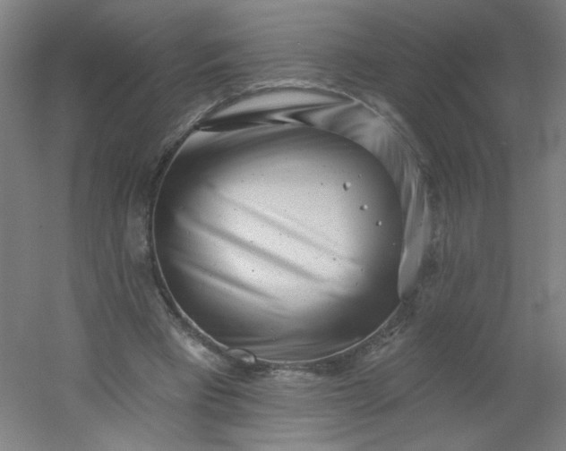 X0000054360393200508121519